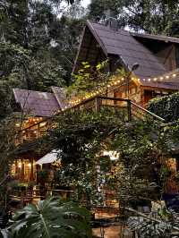 The best time to visit Mae Kampong Village is during the cool and dry seaso