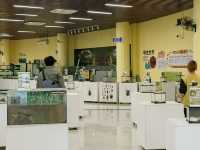 Where Wings Whisper Secrets: A Journey Through the Zhuhai Insect Museum