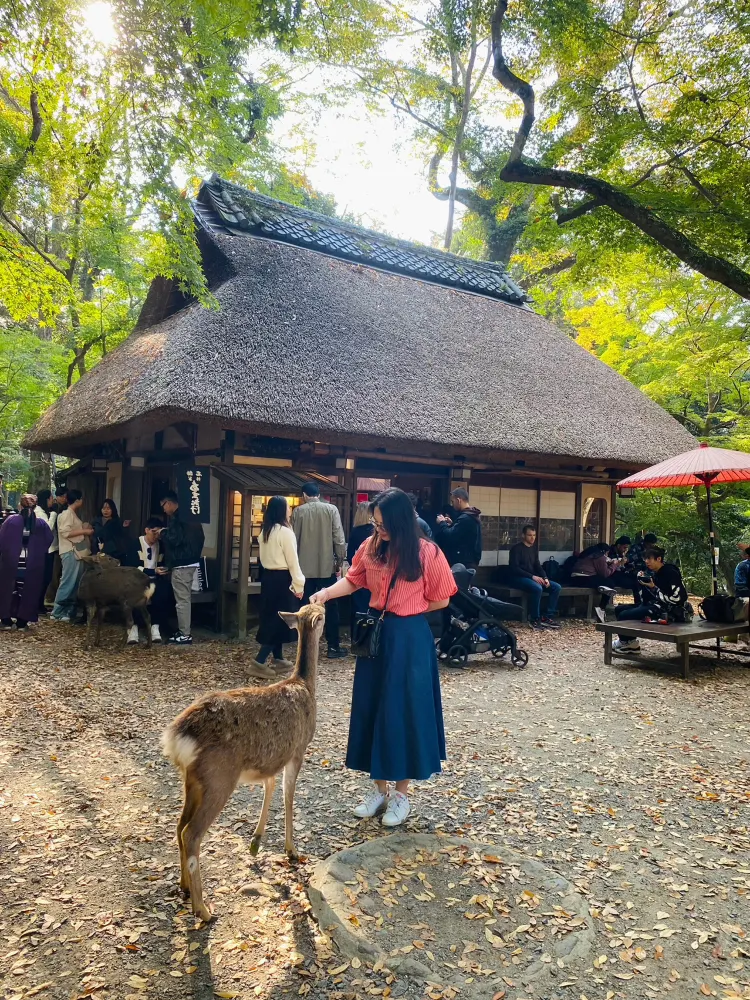 奈良公園には…鹿しかいないと思っていた。