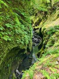 Discover Kyushu’s Best Natural Gem – Mount Aso & New Kusasenri