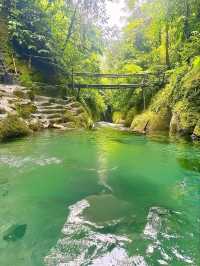 Kolam Abadi – Samosir's Hidden Jungle Paradise