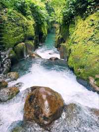 Kolam Abadi – Samosir's Hidden Jungle Paradise