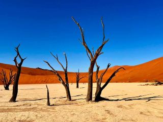  Deadvlei – 納米比亞超現實沙漠傑作 