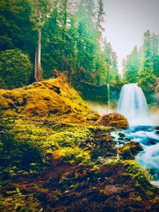 Bolivia Cochabamba Tunari National Park Mossy Tundra Forest Edgeeasytravelpost #TunariNP #Cochabamb