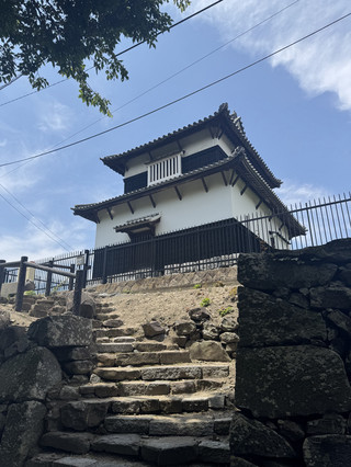 Một chuyến đi trong ngày quanh thành phố Fukuoka | Đền Suikyō + Đền Tenmangu + Di tích lâu đài Fukuoka + Hoa cẩm tú cầu dọc sông Gojōgawa