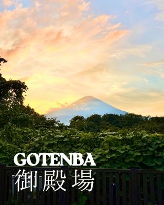 Mt.富士を背景にお得なショッピングが楽しめて東京から日帰りできるアウトレットへ✨
