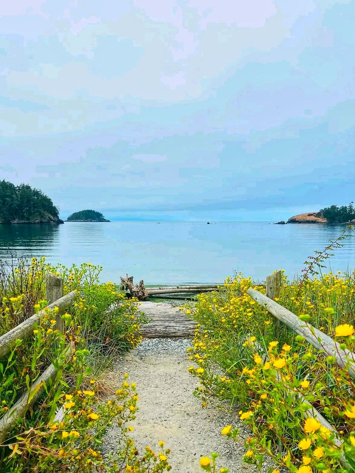 🍁 Deception Pass State Park: A Hidden Autumn Escape Between Forests and the Sea 🌊