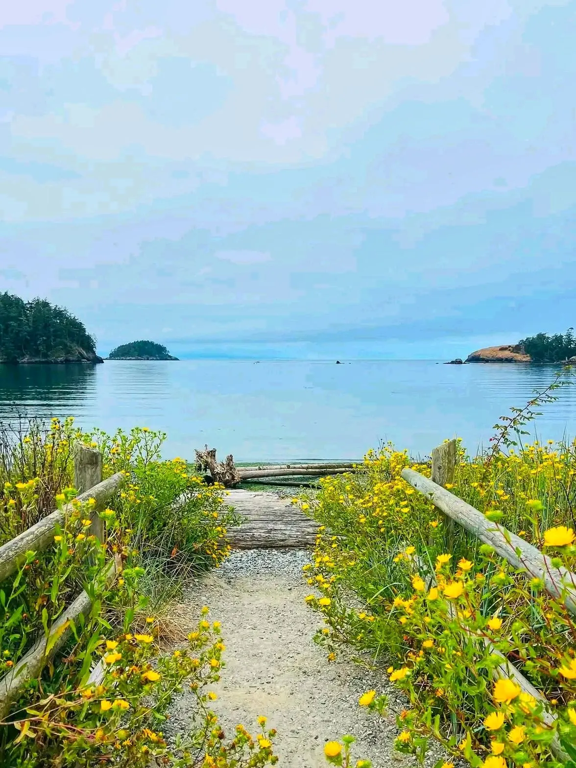 🍁 Deception Pass State Park: A Hidden Autumn Escape Between Forests and the Sea 🌊