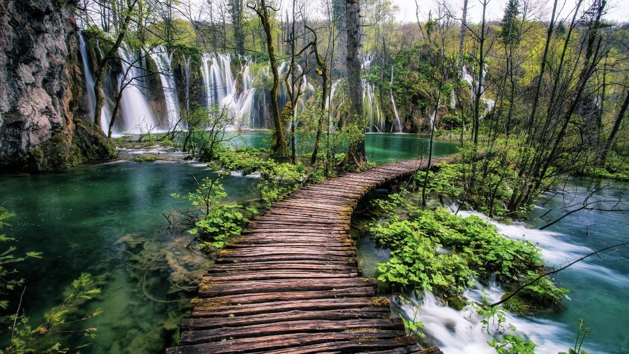 💙 Croatia’s Hidden Paradise: Plitvice Lakes National Park 🇭🇷