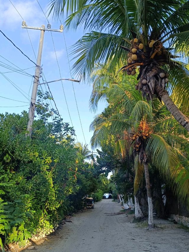 🌴 Holbox Island - a hidden gem in Mexico