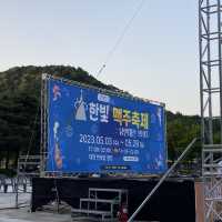 대전 피크닉하기 좋은 한빛 맥주축제