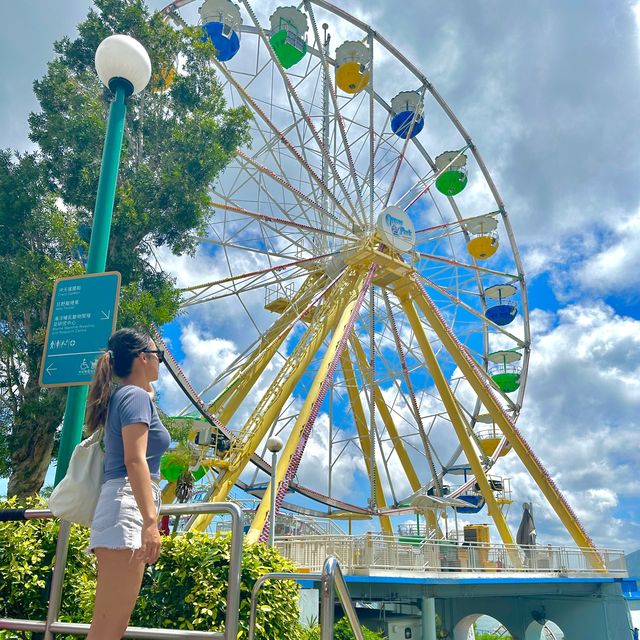 這個夏天的海洋公園這樣玩🩵🐬🐟