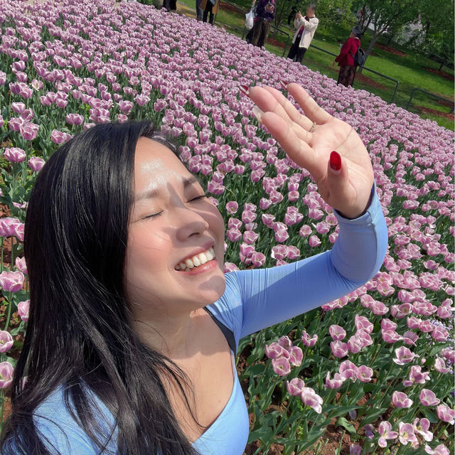 Lost in the Sea of flowers and Cherry Blossom
