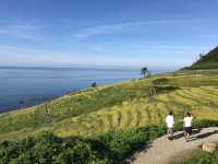 【石川】のと里山海道で行く！白米千枚田🌾