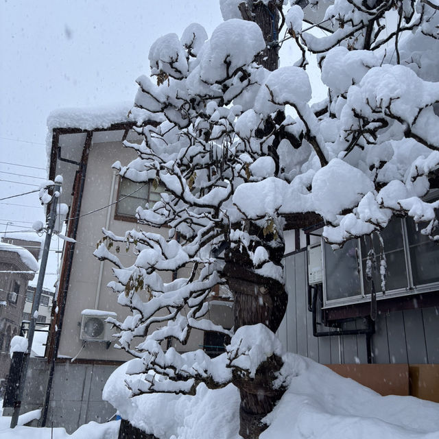 Altitude nozawa onsen