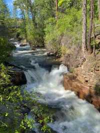 Spring Hike in Marysville, Kimberly BC