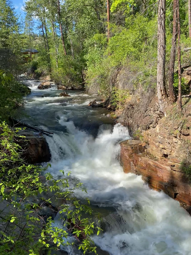 Spring Hike in Marysville, Kimberly BC