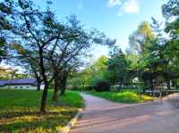 昭和沼公園