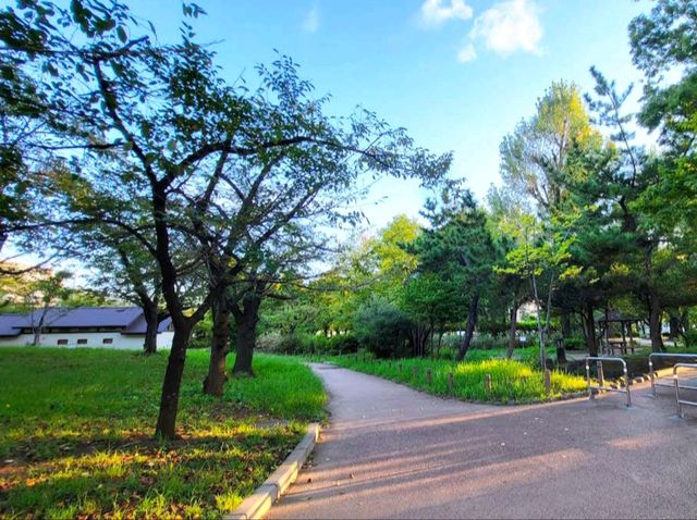 昭和沼公園