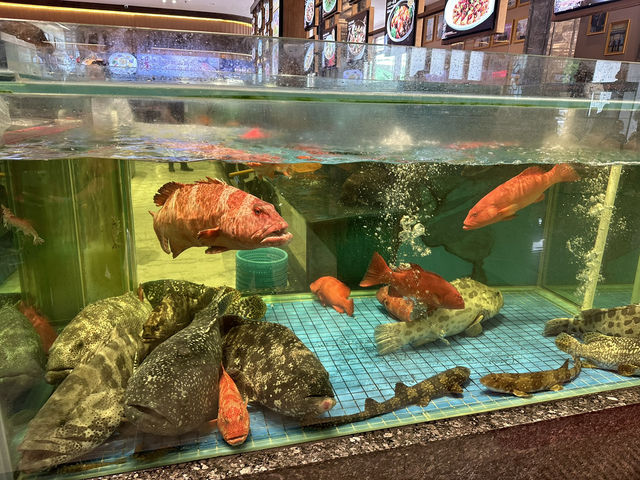 🥢 中山 · 聚福寶合苑食府打卡店