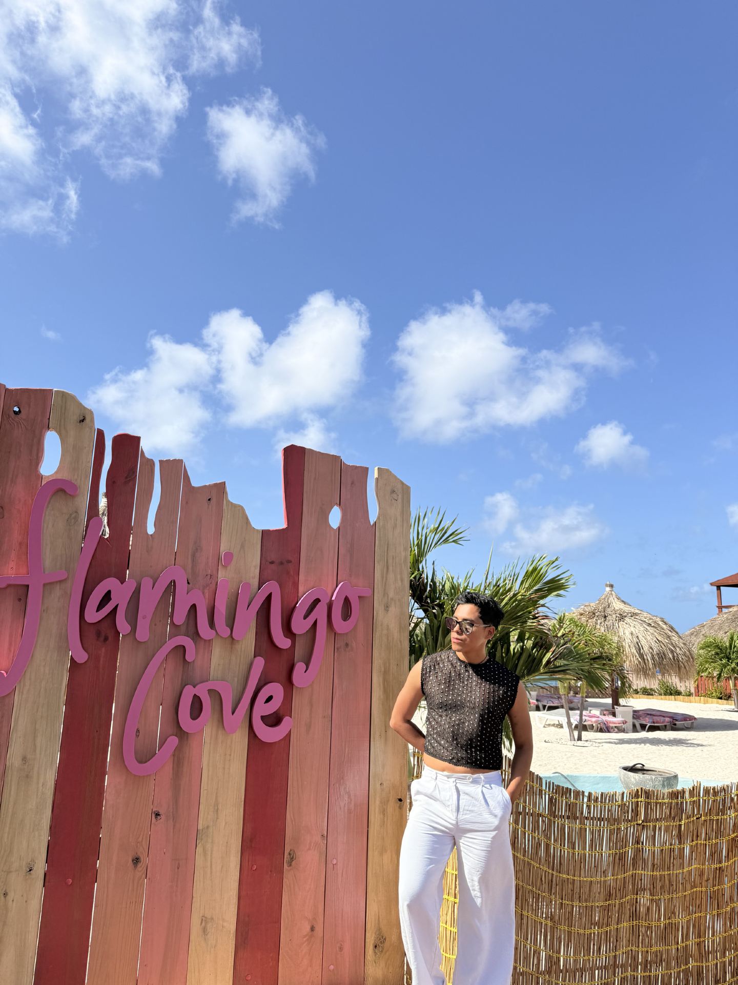 #travel #flamenco #aruba 