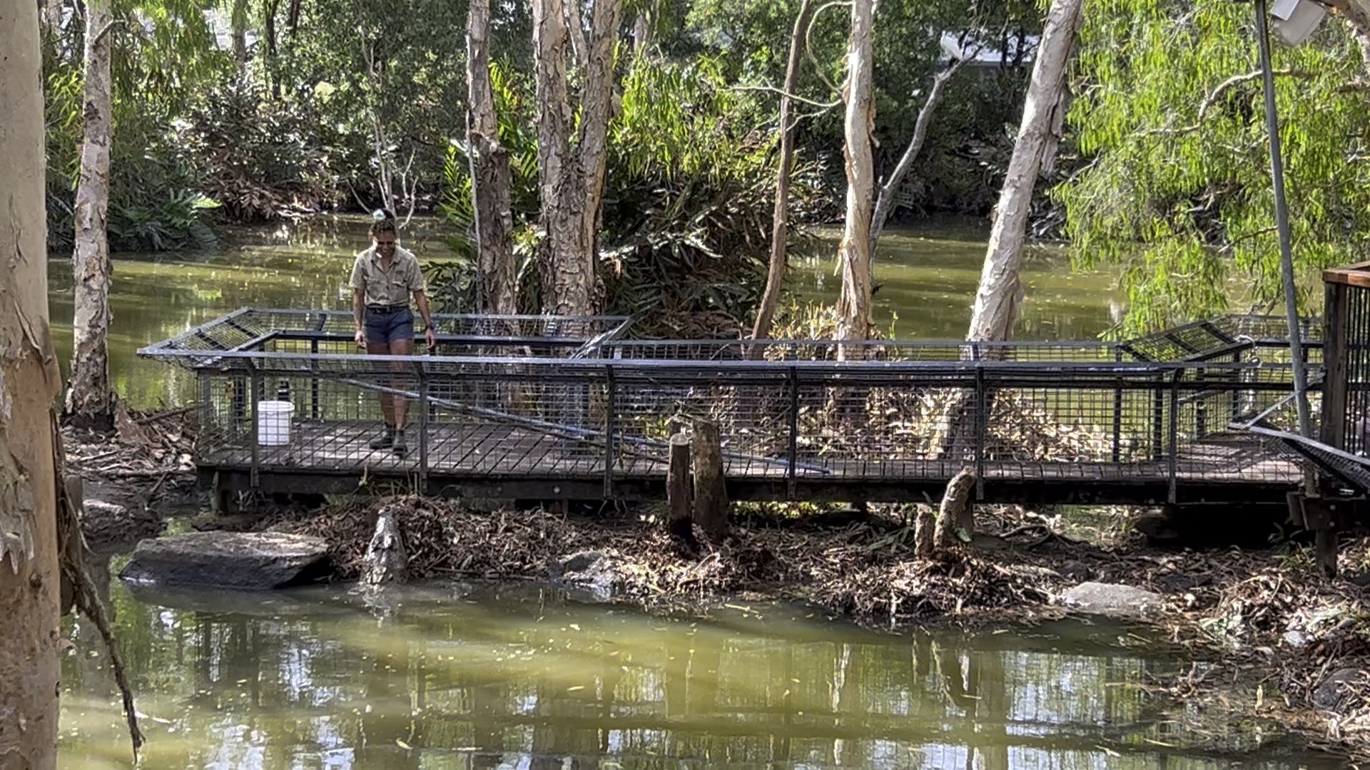 Unforgettable Family Moments at Hartley's Crocodile Adventures