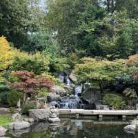 Holland Park: Where Nature and Culture