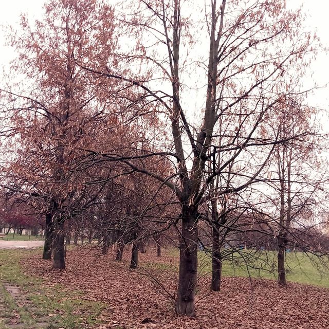Love autumn in Park Edwarda Szymańskiego 😍