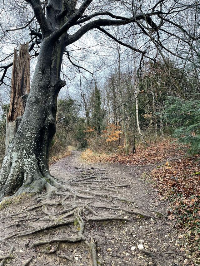 英國行山推介