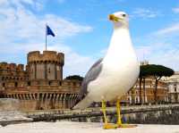 Castel Sant'Angelo in Rome