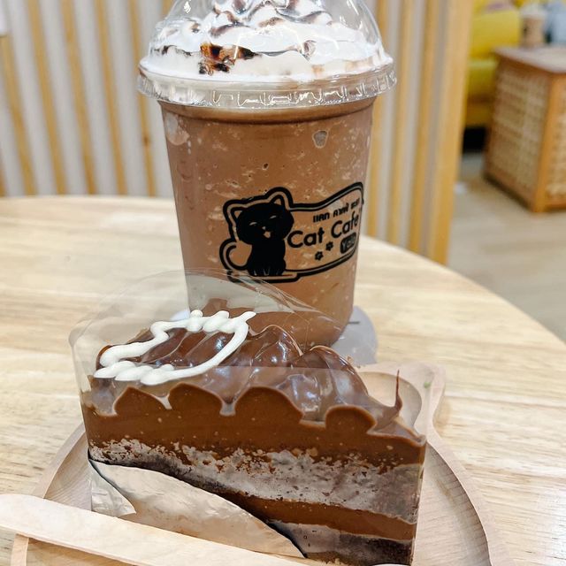 Cat cafe' คาเฟ่แมวยะลา 