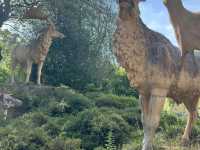 Crystal Palace Dinosaurs 🇬🇧