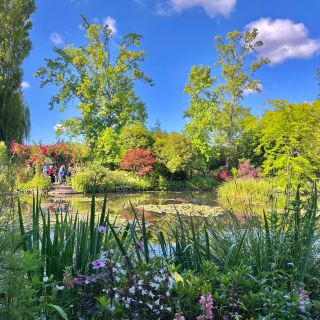 Monet's Garden in Giverny: The Water Garden