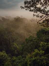 Napo Wildlife Center Ecolodge