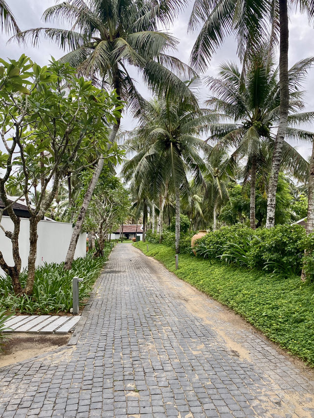 🏊‍♀️ Refreshing Pool Time