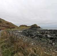 The Giant's Causeway 🪨