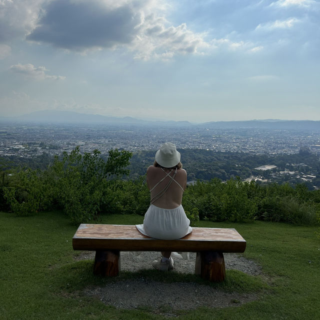 A must-visit to Mount Wakakusa in Japan! ⛰️ 