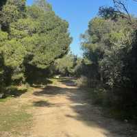 Archipelago hikes
