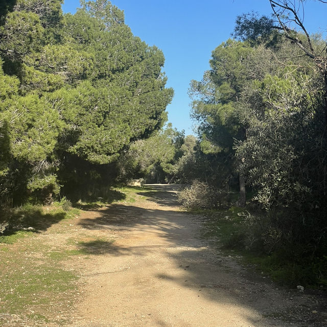 Archipelago hikes