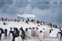 🇦🇶 Day 5-8: FINALLY REACHED ANTARCTICA