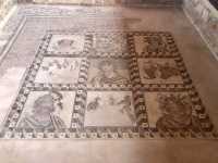 Paphos: Achaeological Marvel