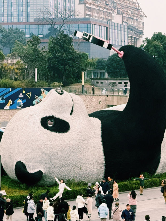 2-Day Chengdu Itinerary: A Perfect Blend of Pandas, History, and Culture