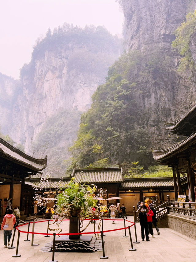 Escape to Wulong: Where towering cliffs and natural wonders await just a day trip from Chengdu!