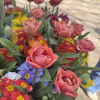 Spring into Bloom