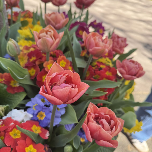 Spring into Bloom