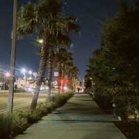 Orlando 4 Days Travel Guide 