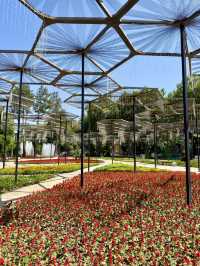 Spring in Dushanbe – A Stroll Through Ahmad Donish Park