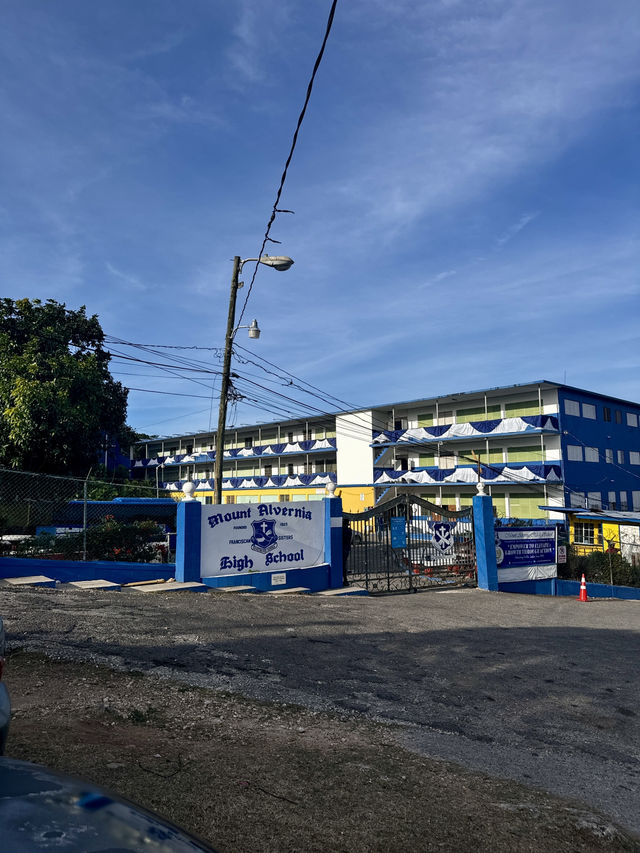 Heart of Jamaica at MoBay 🇯🇲