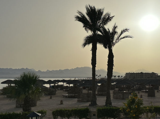 🏖️ Sheraton Soma Bay: Red Sea Serenity with a Pharaonic Touch ✨