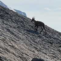Mont-Blanc Hiking 